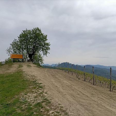 Murisengo Monferrato Bed&Bike酒店 外观 照片